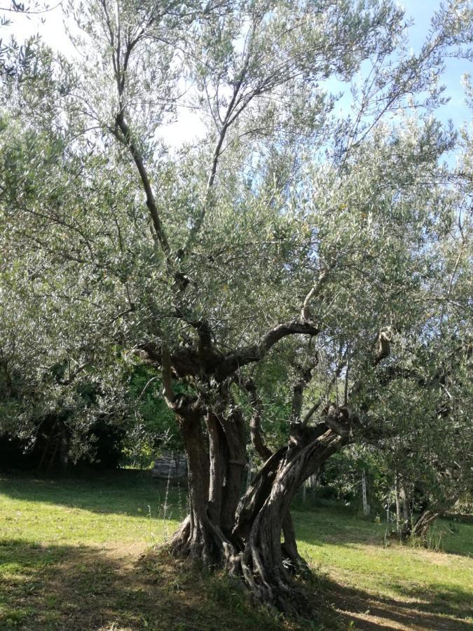 Vacanze In Collina, Tra Mare E Monti Bucchianico Eksteriør bilde