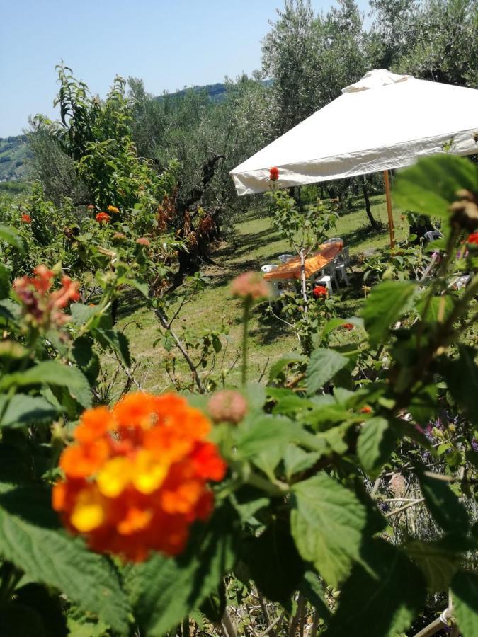 Vacanze In Collina, Tra Mare E Monti Bucchianico Eksteriør bilde